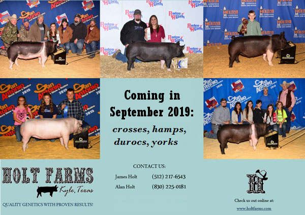 FARM SALE 2